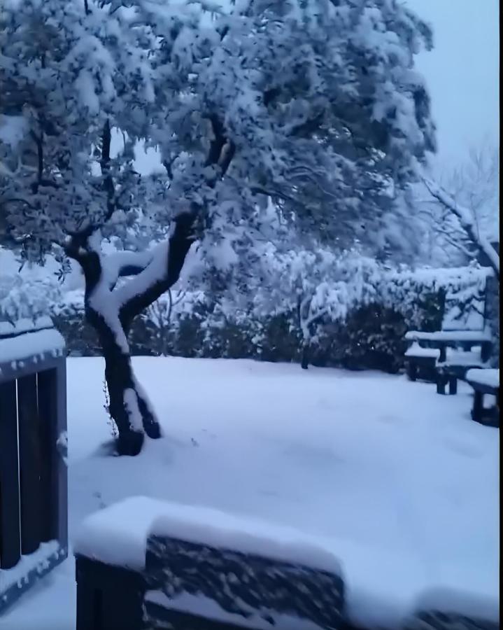 Le Chalet Del Pollino Ροτόντα Εξωτερικό φωτογραφία